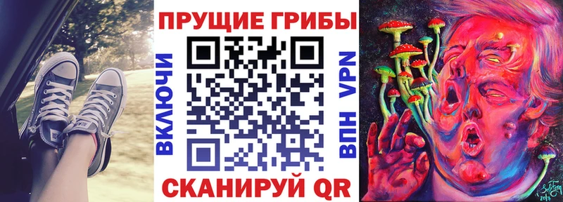 KRAKEN зеркало  где найти   Муравленко  Псилоцибиновые грибы мухоморы 